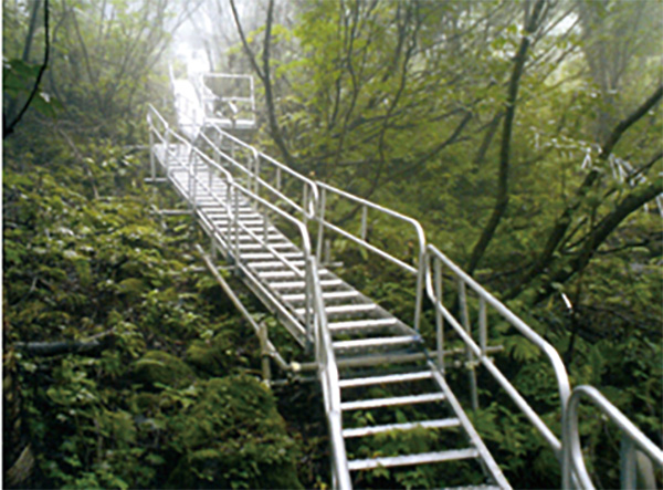 NIKKO SCAFFOLDING & EQUIPMENT of CONSTRUCTION CO., LTD.